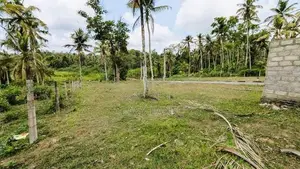 කළගෙඩිහේනෙන් අගනා නේවාසික ඉඩමක් විකිණීමට ඇත!