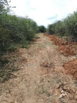 Commercial Land for Sale Hambanthota