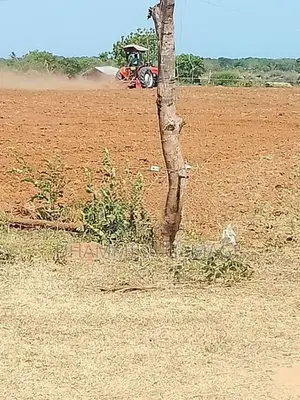 Commercial Land for Sale Hambanthota