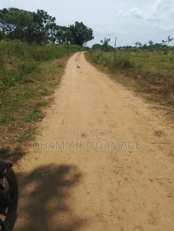 Commercial Land for Sale Hambanthota