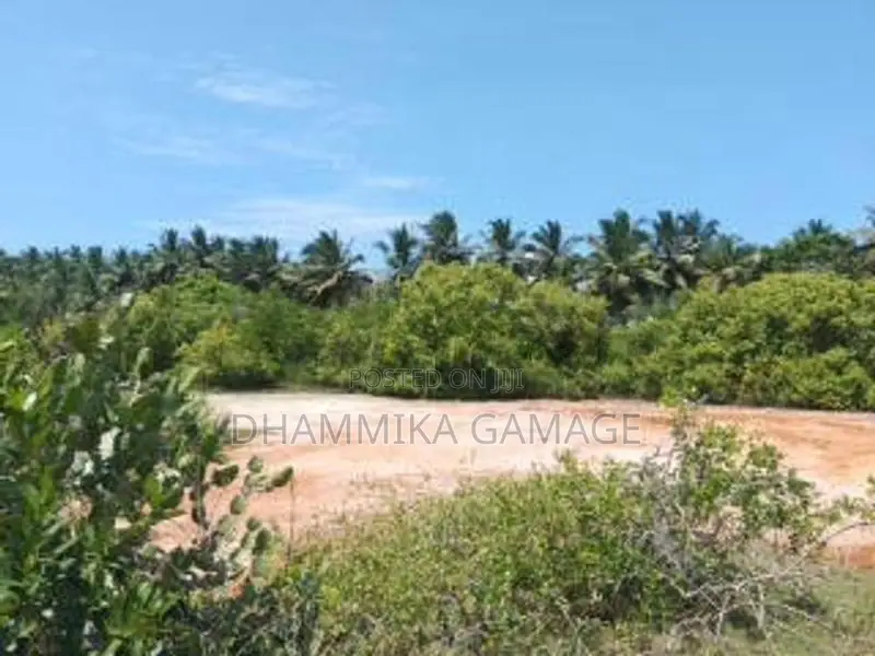 Kahadamoder - Beach Land for Sale