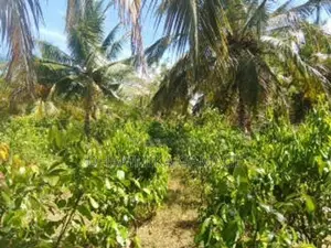 කුරුදු හා ගම්වමිරිස් වගාව සමග ඉඩම විකිනිමට රත්නපුර
