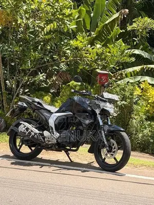 Yamaha FZs V2 2017