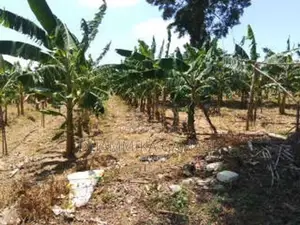 කේසෙල්වගාව සමග ඉඩම විකිනිමට හම්බන්තොට