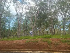 Lands for Sale in Ahangama