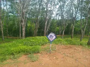 Lands for Sale in Ahangama