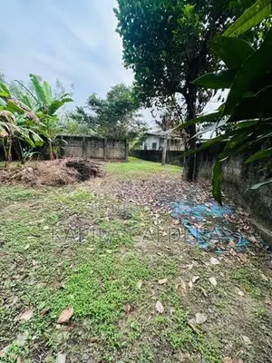 Valuable Land for Sale in Malabe - Arangala