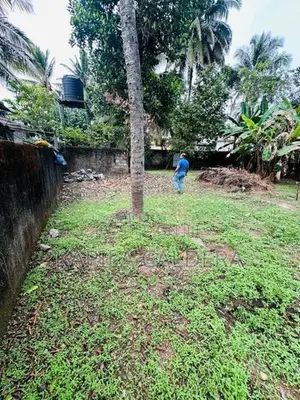 Valuable Land for Sale in Malabe - Arangala