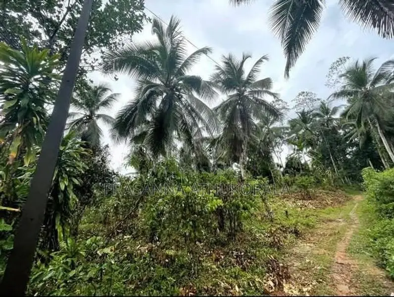 Land For Sale In Pitigala Elpitiya