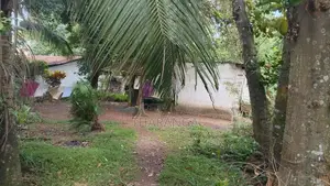 Land for Sale Piliyandala