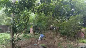 Land for Sale Piliyandala