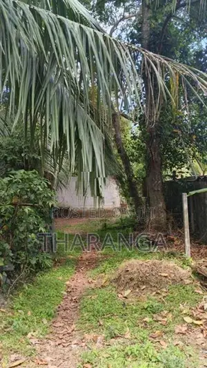 Land for Sale Piliyandala