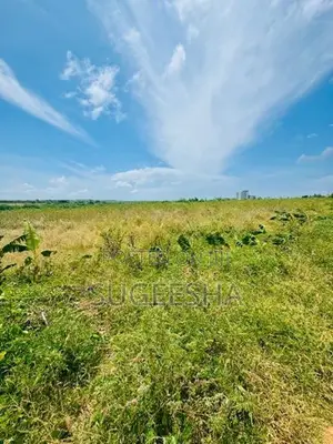 Land For Sale In Hambantota