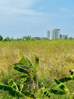 Land For Sale In Hambantota