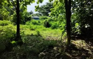 Prime Commercial land for Sale – Manaweriya, Kochchikade