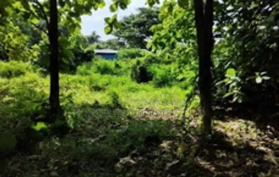 Prime Commercial land for Sale – Manaweriya, Kochchikade