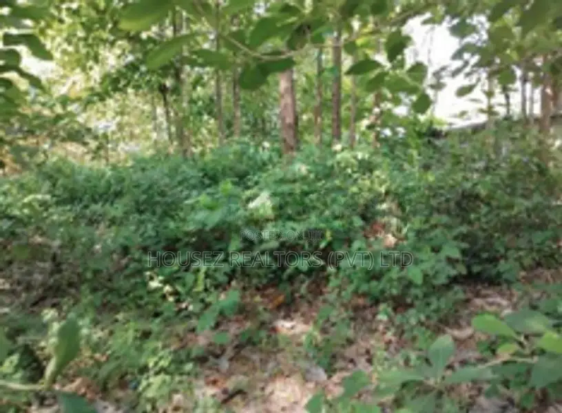 Prime Commercial land for Sale – Manaweriya, Kochchikade