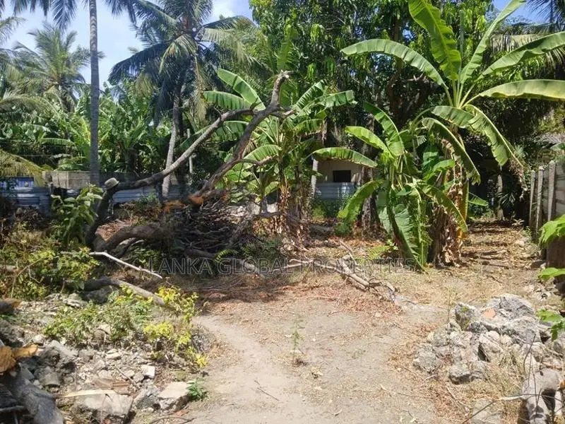 House for Sale Koiyaththodam