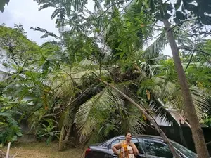 Land for Sale - Athurugiriya