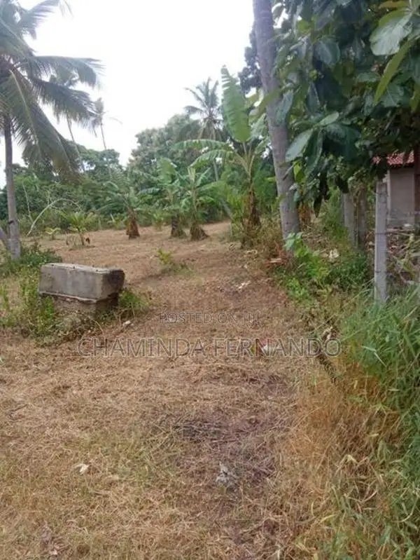 Land for Sale Dankotuwa