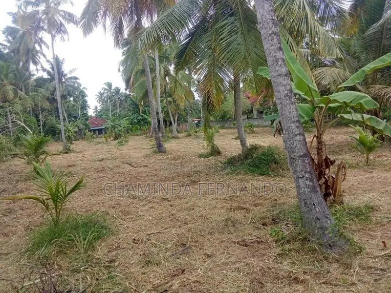 Land for Sale Dankotuwa
