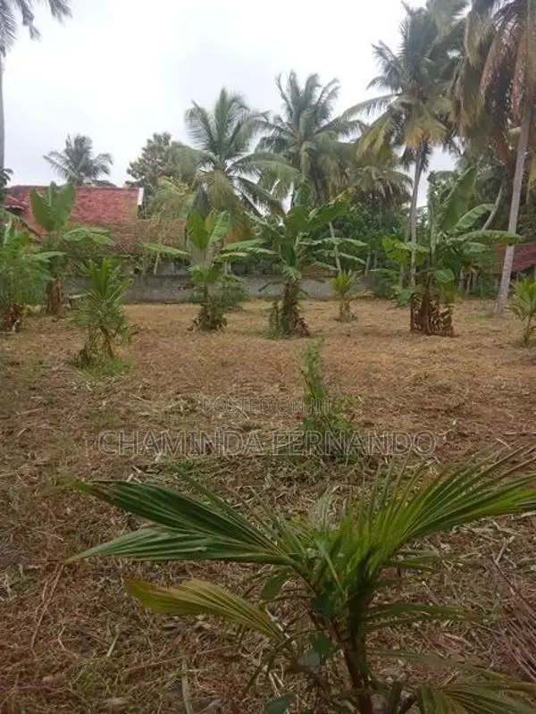 Land for Sale Dankotuwa