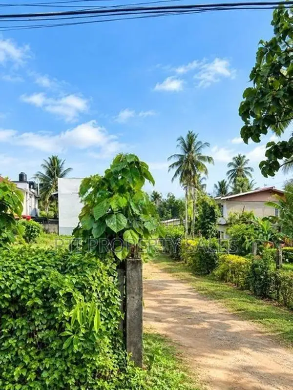 Land for Sale - Halpita