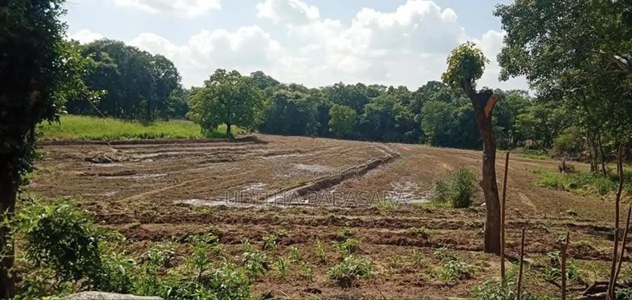 ඉඩම විකිණිම Kolonwaththa In Mahiyanganaya
