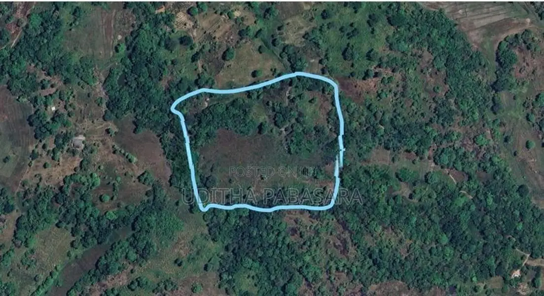 ඉඩම විකිණිම Kolonwaththa In Mahiyanganaya