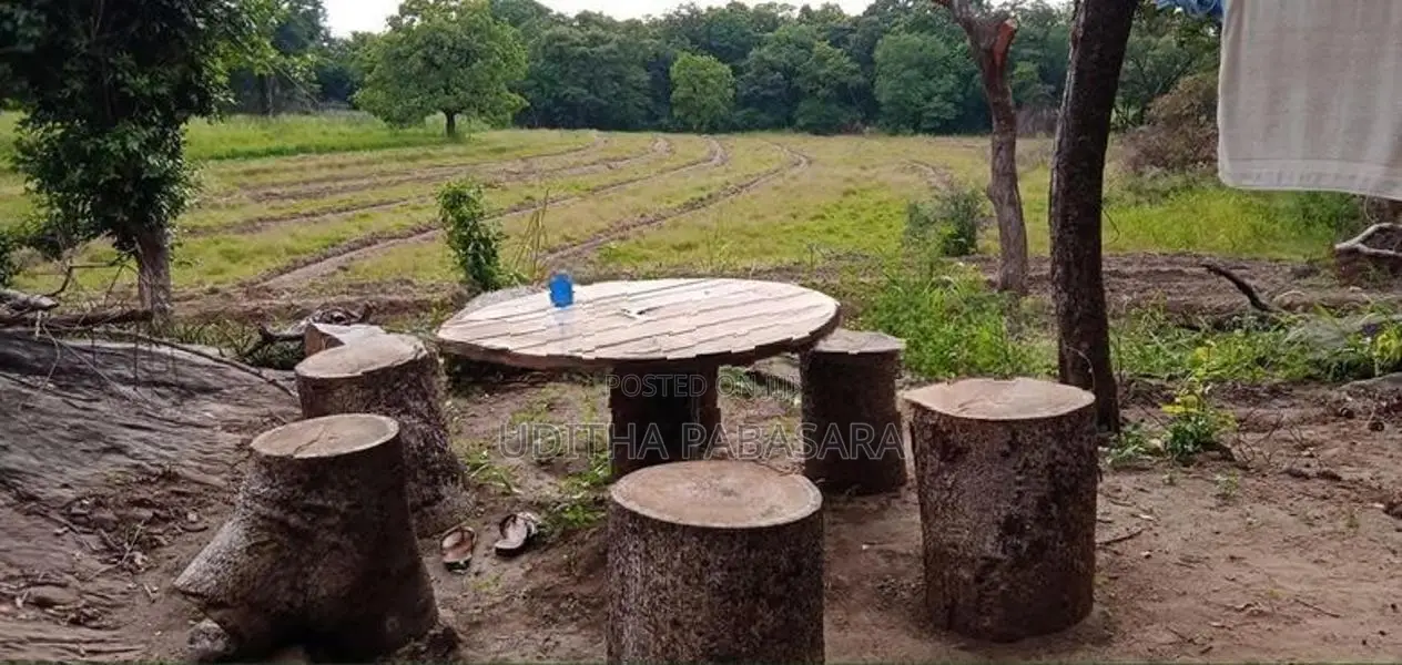 ඉඩම විකිණිම Kolonwaththa In Mahiyanganaya