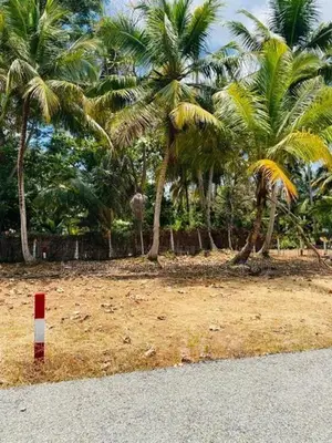 පම්බල අවටින් සින්නක්කර බිම් කොටස්