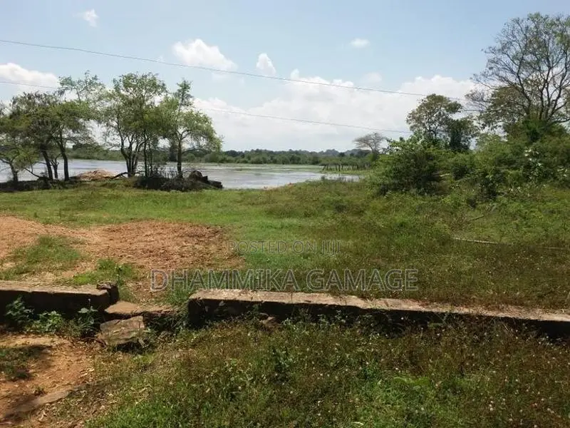 Commercial Land for Sales