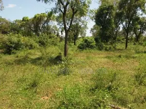 Commercial Land for Sales