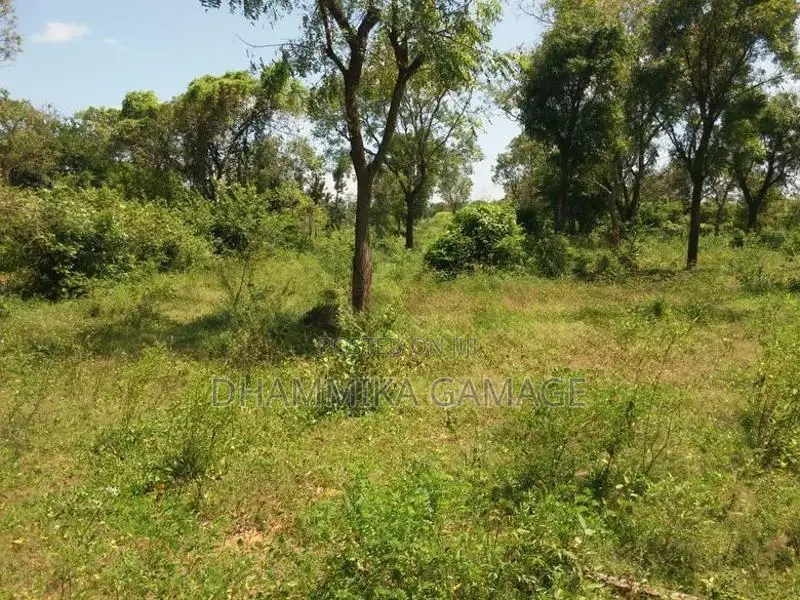 Commercial Land for Sales