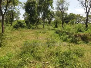 Commercial Land for Sales