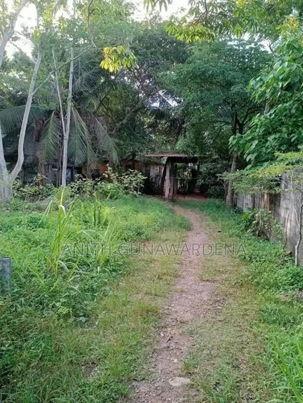 මුල්ලේරියාවෙන් අගනා ඉඩමක් විකිණීමට