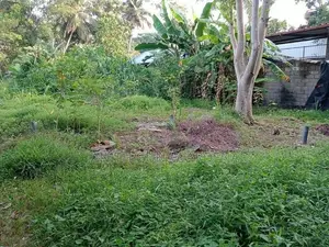 මුල්ලේරියාවෙන් අගනා ඉඩමක් විකිණීමට