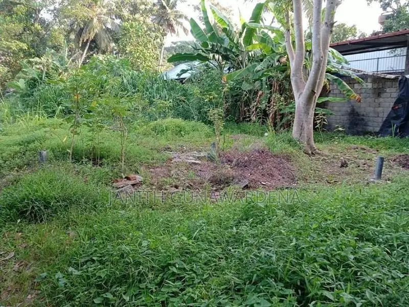 මුල්ලේරියාවෙන් අගනා ඉඩමක් විකිණීමට