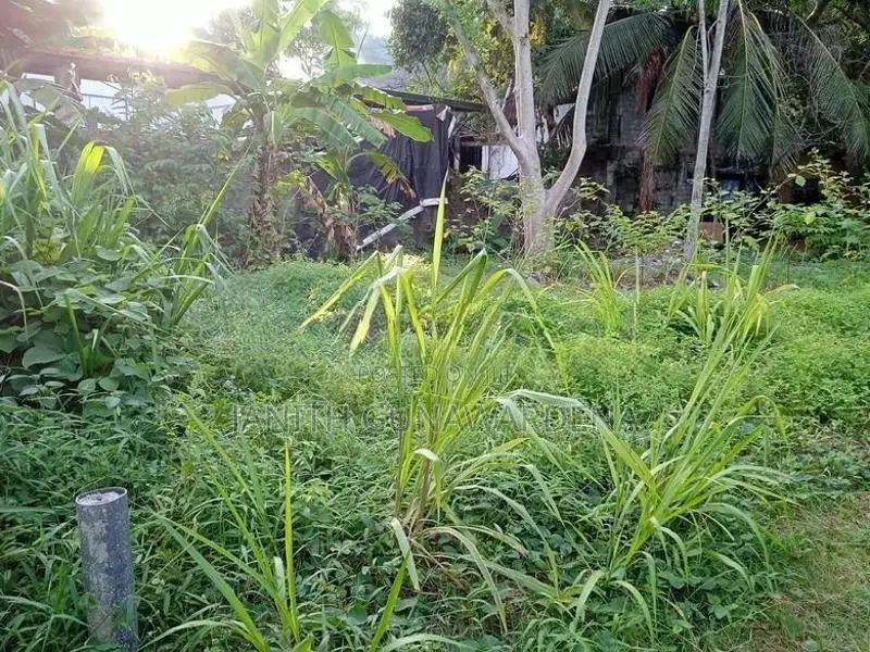 මුල්ලේරියාවෙන් අගනා ඉඩමක් විකිණීමට