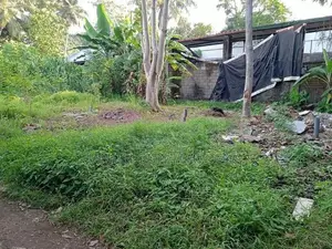 මුල්ලේරියාවෙන් අගනා ඉඩමක් විකිණීමට