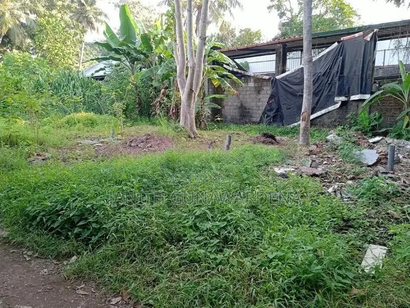 මුල්ලේරියාවෙන් අගනා ඉඩමක් විකිණීමට