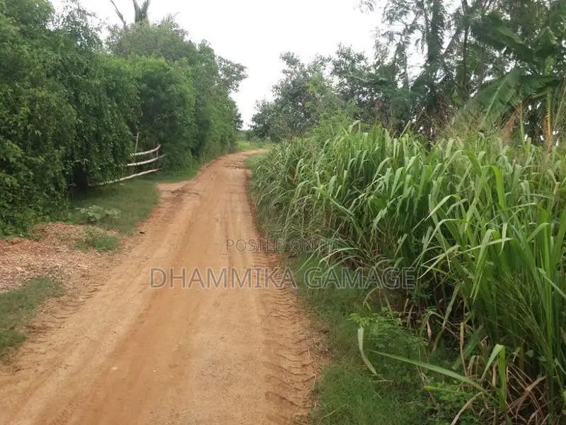 ඉඩමක් අම්බලන්තොට