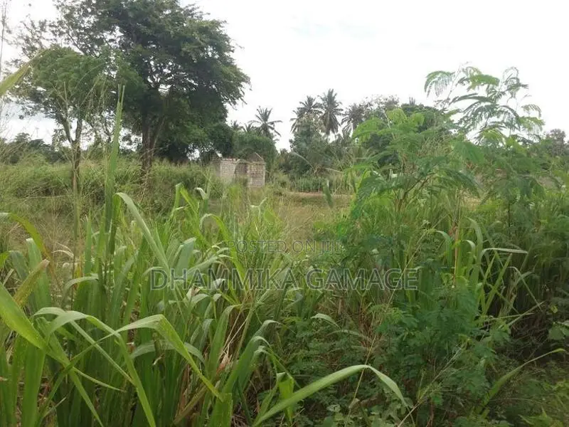 ඉඩමක් අම්බලන්තොට