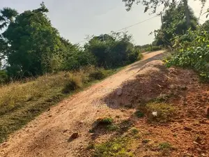 land1 In Trincomalee