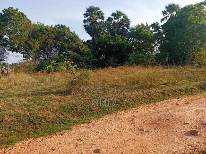 land1 In Trincomalee
