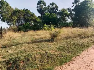 land1 In Trincomalee