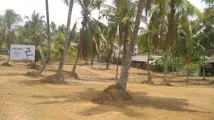 Highly Residential Land for Sale in Rilawala Kahathuduwa