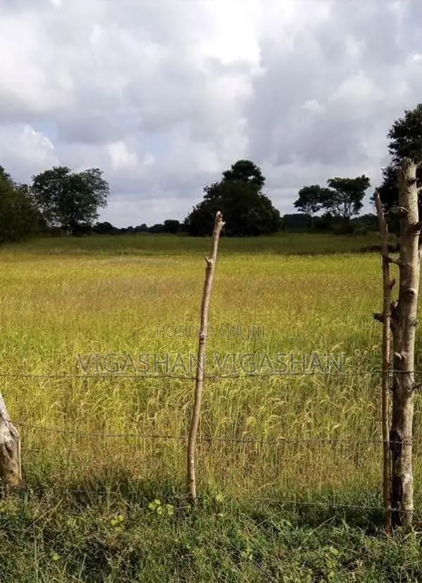 விவசாய நிலம் விற்பனை மட்டக்களப்பு