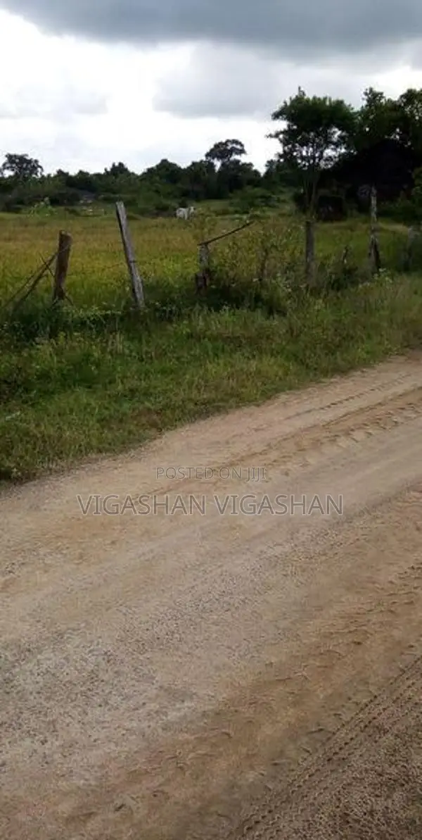 விவசாய நிலம் விற்பனை மட்டக்களப்பு