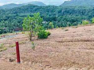 Residential Land for Sale in Avissawella